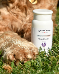 CleanPowder Lavande — Shampoing sec naturel