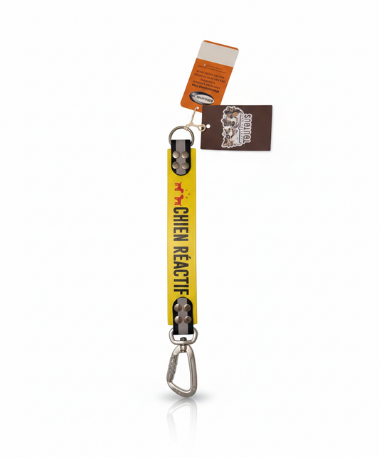 DogTalker — Rallonge de laisse « CHIEN RÉACTIF »