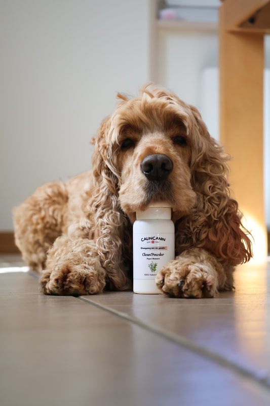 Shampoing sec chat anti-parasites Thym & Romarin