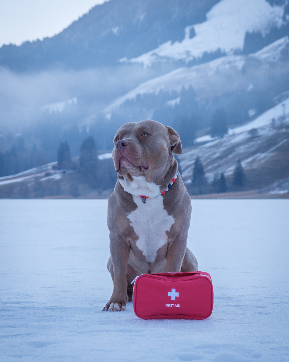 Trousse de Secours — Soins naturels et premiers secours