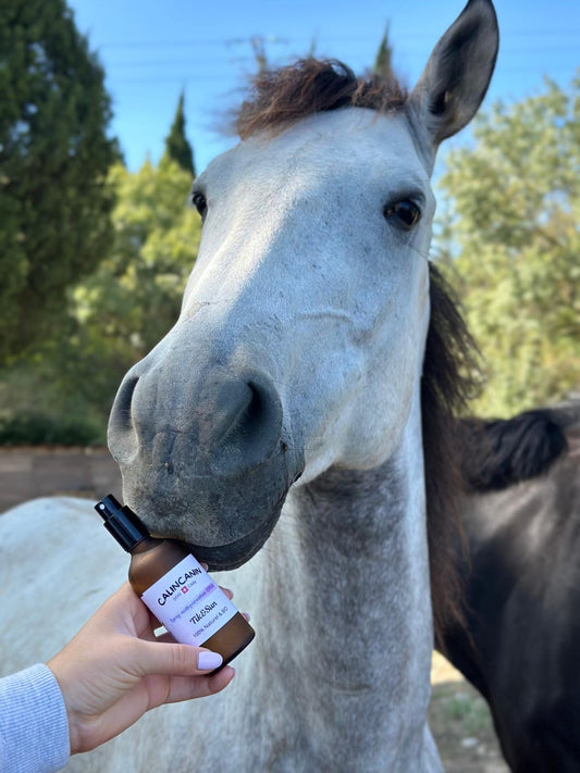 Spray anti-mouches cheval 2-en-1 – Répulsif & SPF végétal