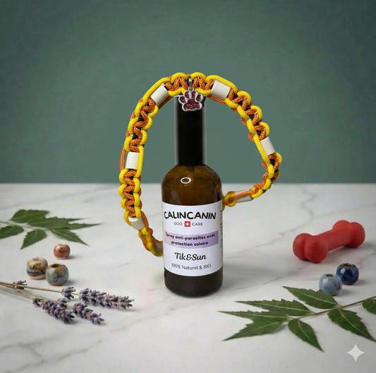 Box Anti-Parasites Chien — Spray Tik&Sun + Collier