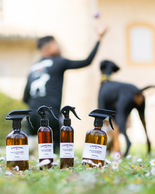 Spray anti-parasites et protection solaire naturelle