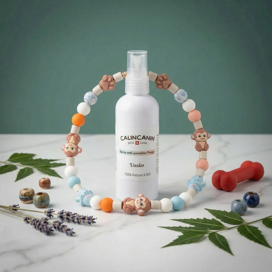 Box Anti-Parasites Chiot — Spray Vasko + Collier