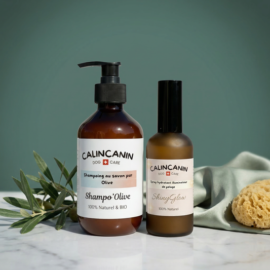 Box skincare pour cheval routine robe hydratée et lumineuse - Calin Canin