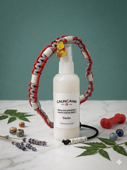 Box Anti-Parasites Chiot — Spray Vasko + Collier