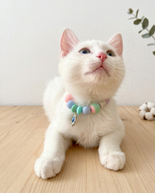 Collier anti-parasites naturel personnalisé pour chat