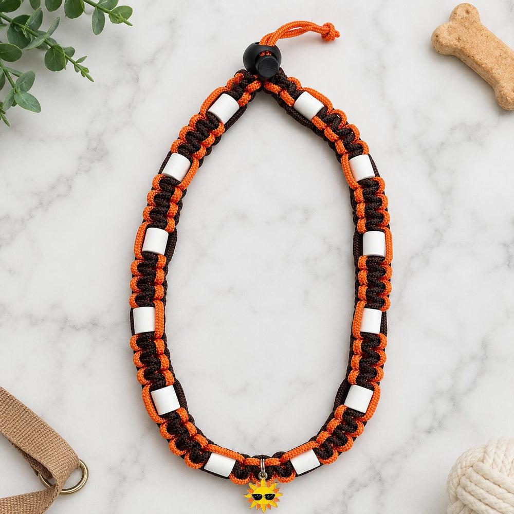 Collier anti-parasites naturel personnalisé