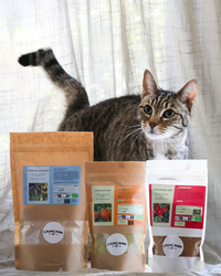 Cynorrhodon Bio Chat — Vitamine C Naturelle, Immunité & Articulations