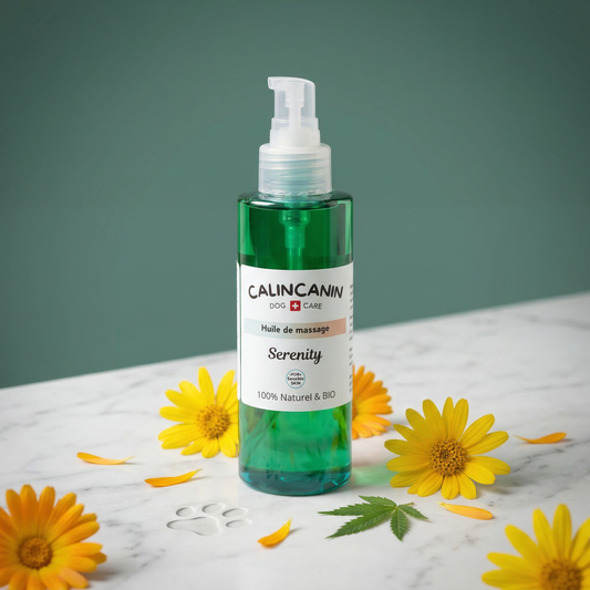 Huile de massage apaisante pour chien à l'arnica CBD et calendula - Calin Canin