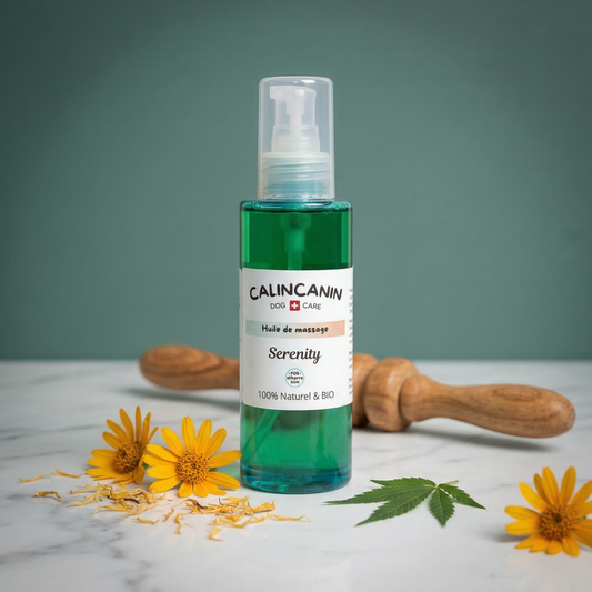 Huile de massage récupération pour cheval à l'arnica CBD et calendula - Calin Canin