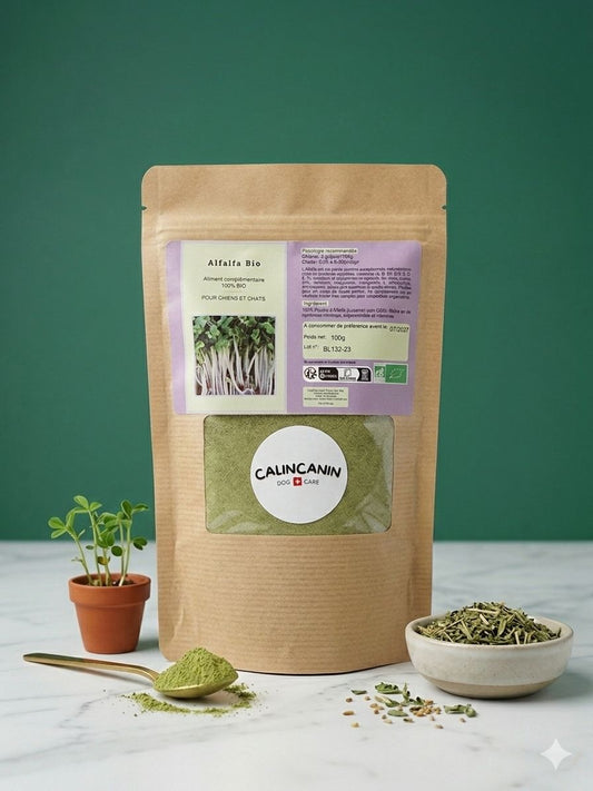 Poudre d'alfalfa bio – Minéraux, calcium et vitalité pour chat