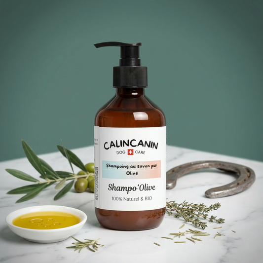 Shampoing doux pour cheval au savon pur olive peau sensible - Calin Canin