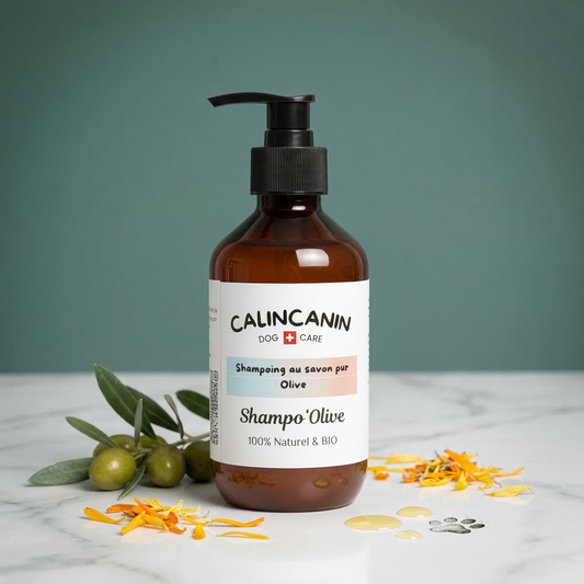 Shampoing doux pour chien au savon pur olive peau sensible - Calin Canin