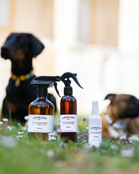 Vasko — Spray anti-parasites sans huile essentielle chiot et peau sensible